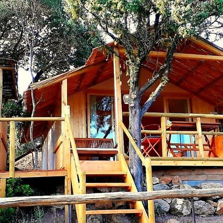 Stazzu La Capretta Farm Camping & Guest Rooms Olbia Ngoại thất bức ảnh