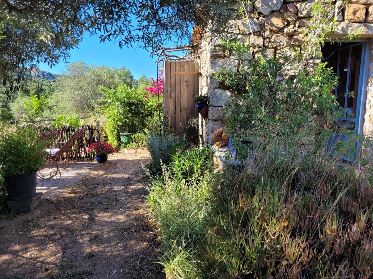 Stazzu La Capretta Farm Camping & Guest Rooms Olbia Ngoại thất bức ảnh