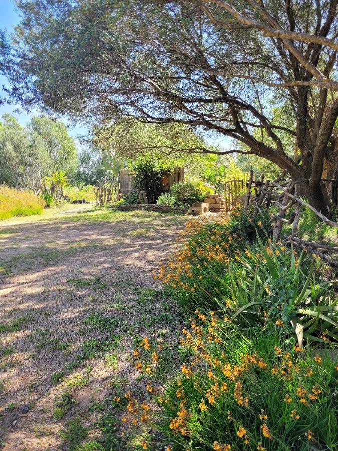 Stazzu La Capretta Farm Camping & Guest Rooms Olbia Ngoại thất bức ảnh