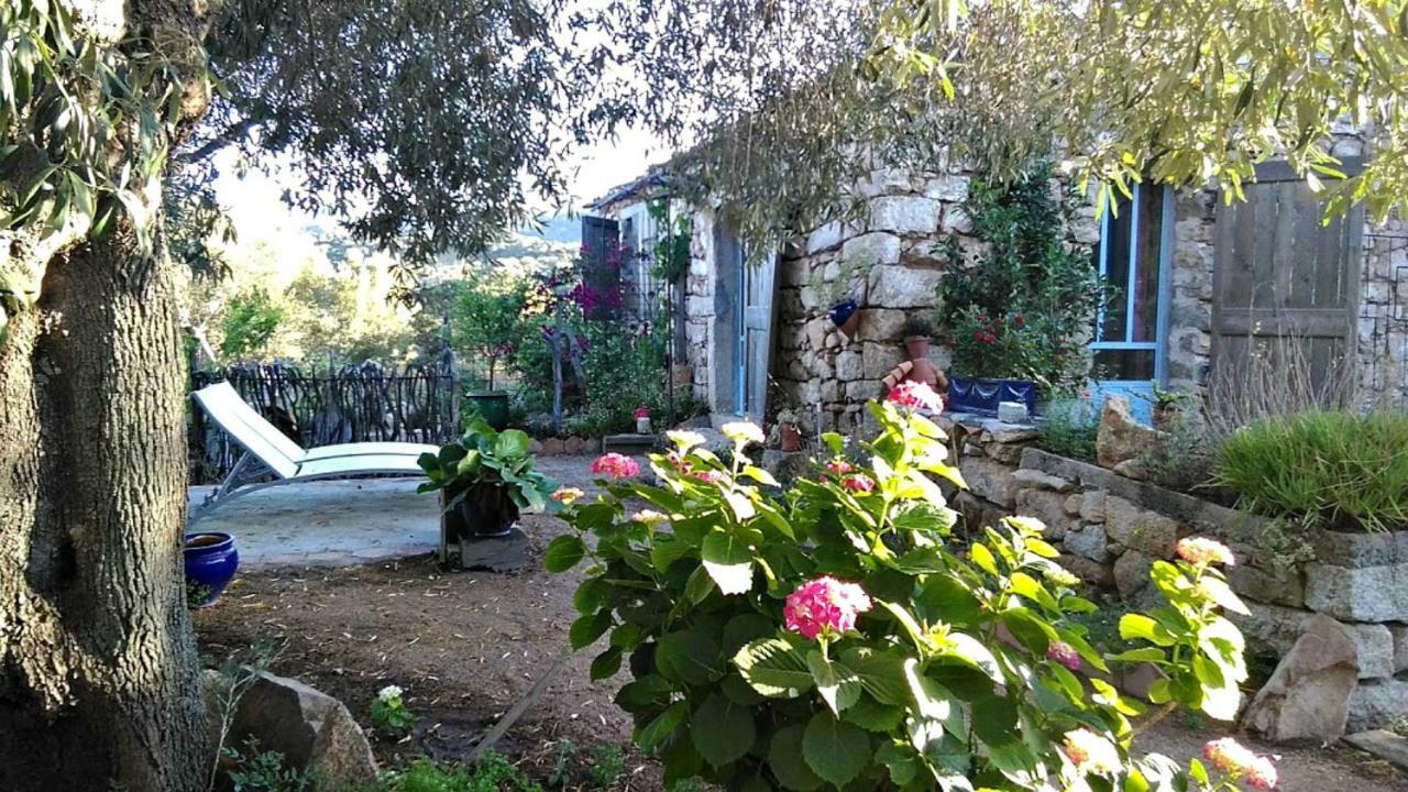 Stazzu La Capretta Farm Camping & Guest Rooms Olbia Ngoại thất bức ảnh