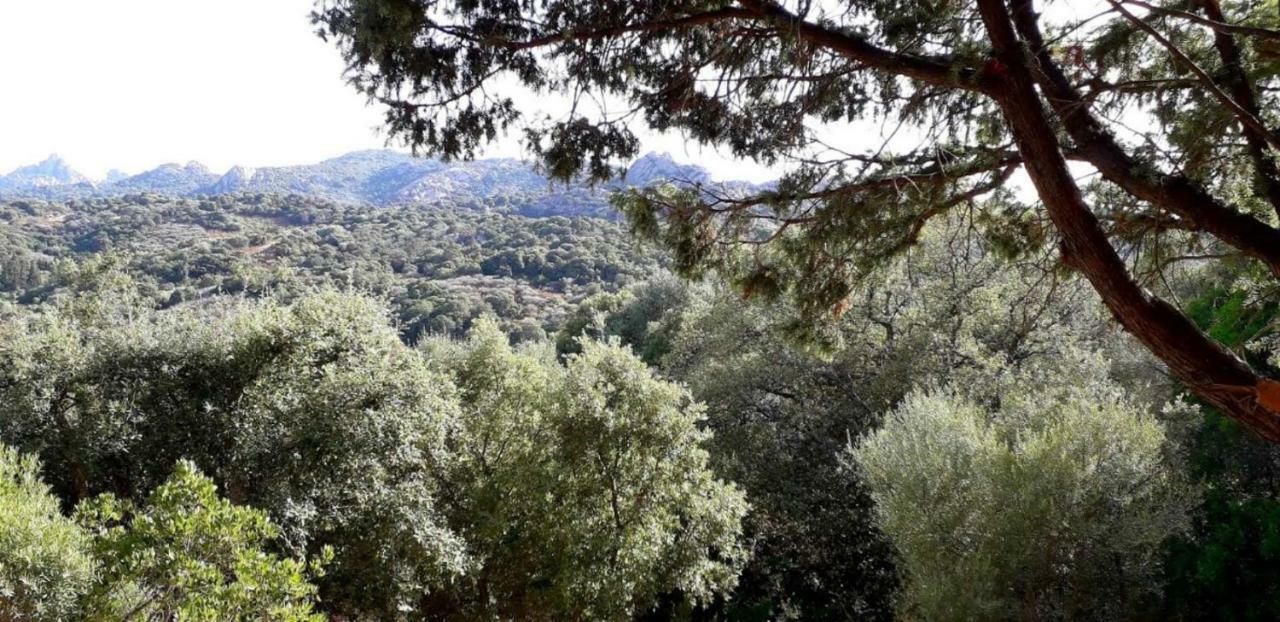 Stazzu La Capretta Farm Camping & Guest Rooms Olbia Ngoại thất bức ảnh
