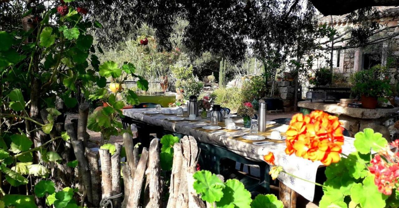 Stazzu La Capretta Farm Camping & Guest Rooms Olbia Ngoại thất bức ảnh