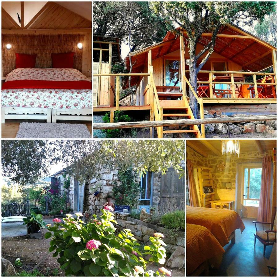 Stazzu La Capretta Farm Camping & Guest Rooms Olbia Ngoại thất bức ảnh
