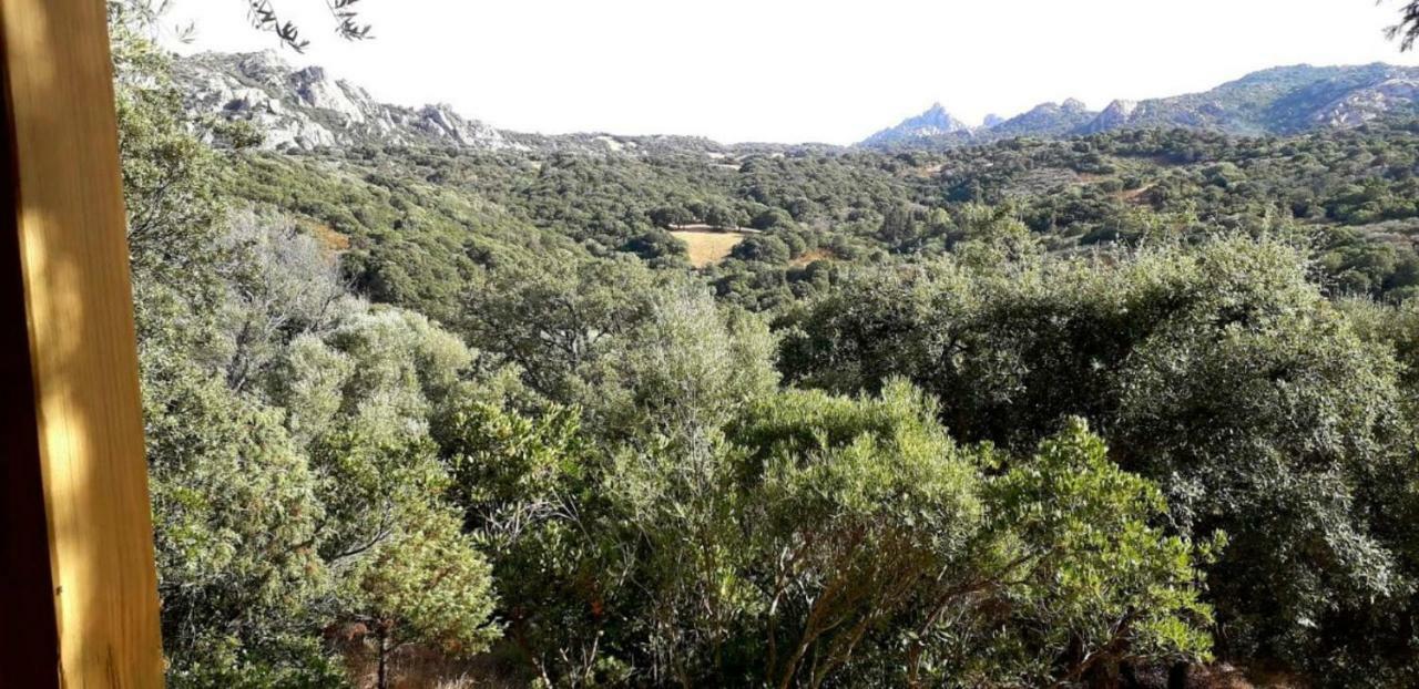 Stazzu La Capretta Farm Camping & Guest Rooms Olbia Ngoại thất bức ảnh
